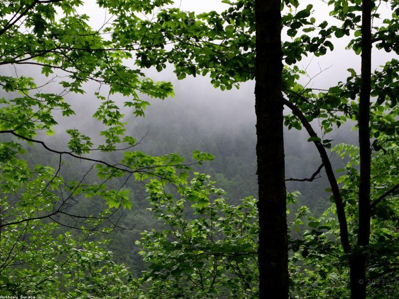 Geniş Kapsamlı Uçaklı Karadeniz Turu (4 Gece 5 Gün)