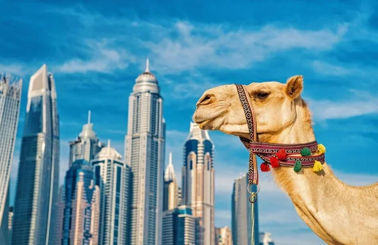 Dubai Turu
